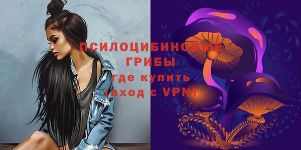 гашиш Няндома